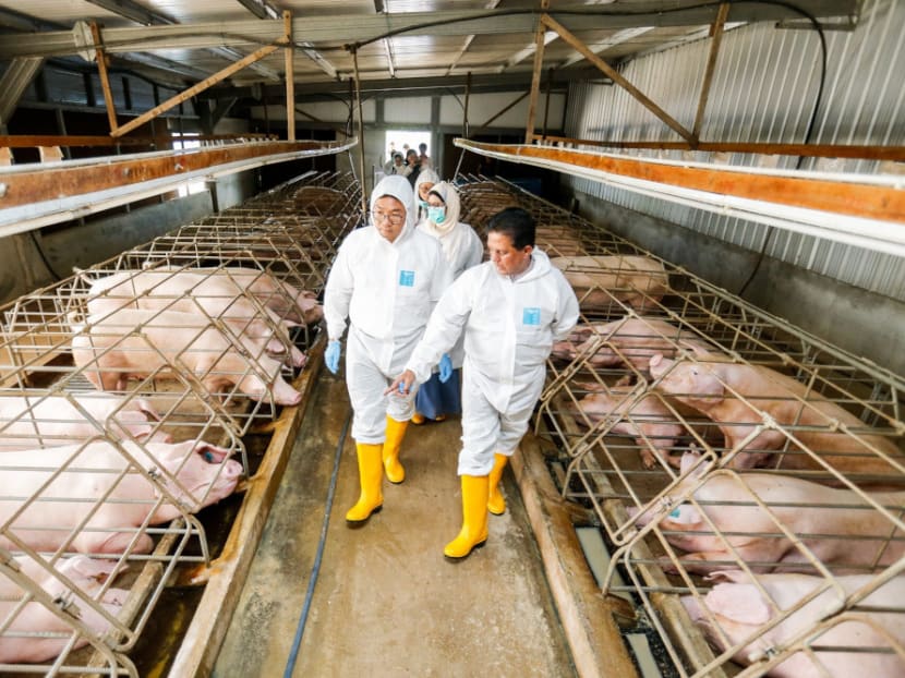 Malaysian Agriculture and Agro-based Industries Deputy Minister Sim Tze Tzin (left) said that the country will stop exporting pork meats and products in order to meet the local demand.