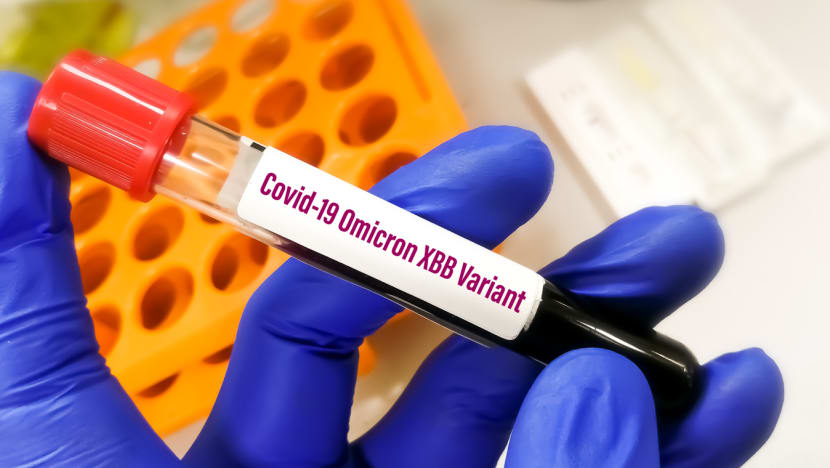 What is the new COVID-19 variant XBB1.5 and should we be concerned? 