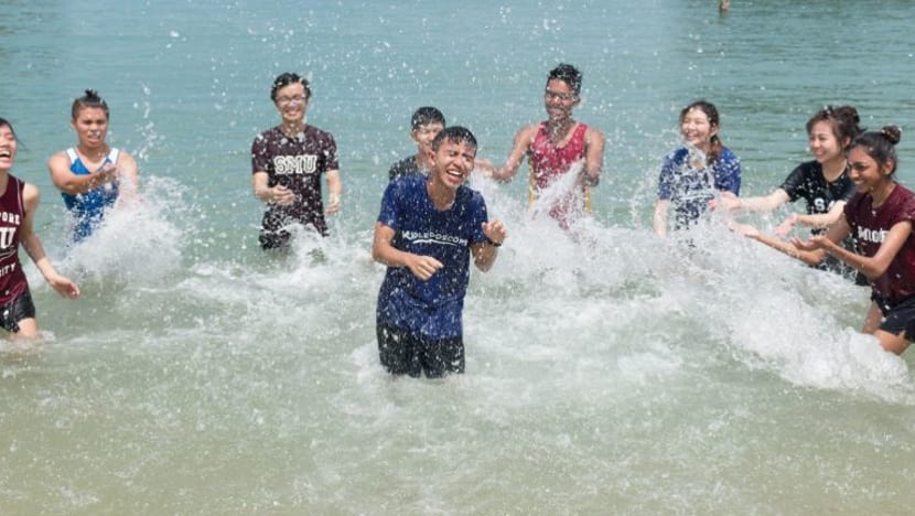 Related article image