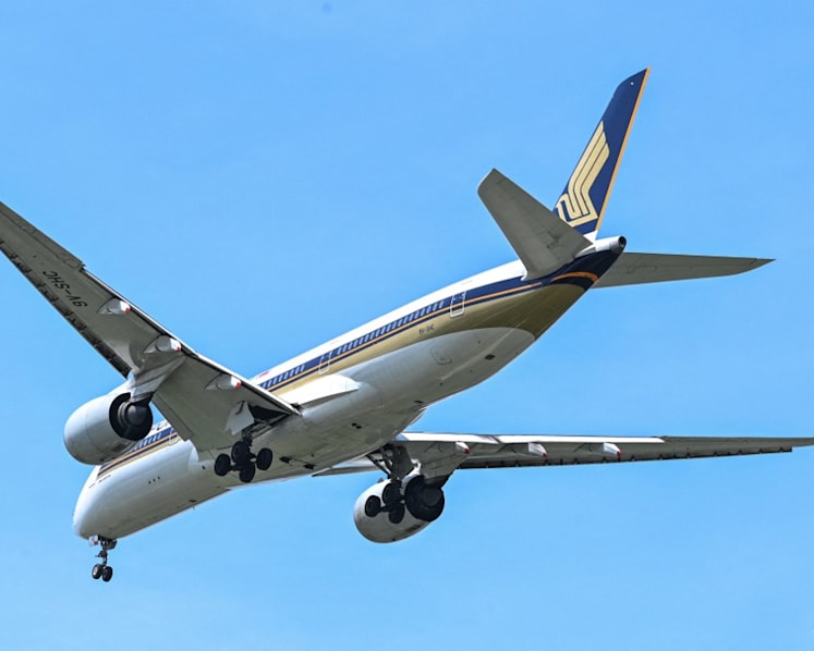 US passenger sues Singapore Airlines, claims allergic reaction to shrimp meal