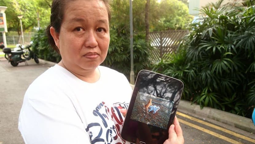 Dead felines at Pasir Ris Park spark concerns of serial cat killer