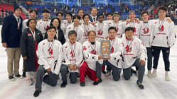 Related article image