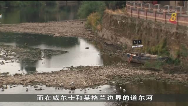 英国干旱影响水栖生物 部分地区为河里鱼儿搬家