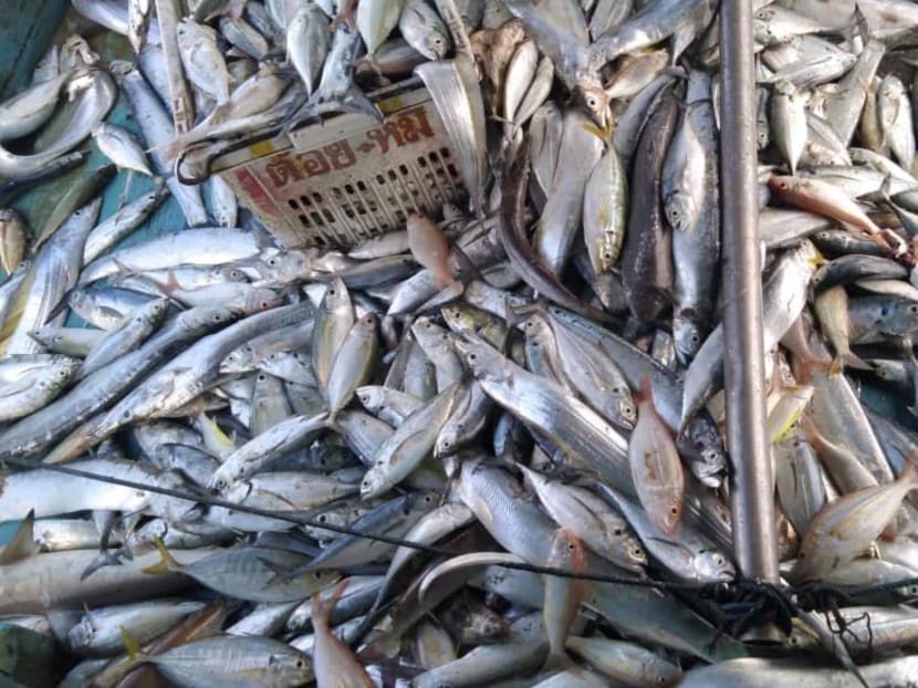 As movement curbs persist, Malaysian fishermen and farmers grapple with lower demand and logistics issues