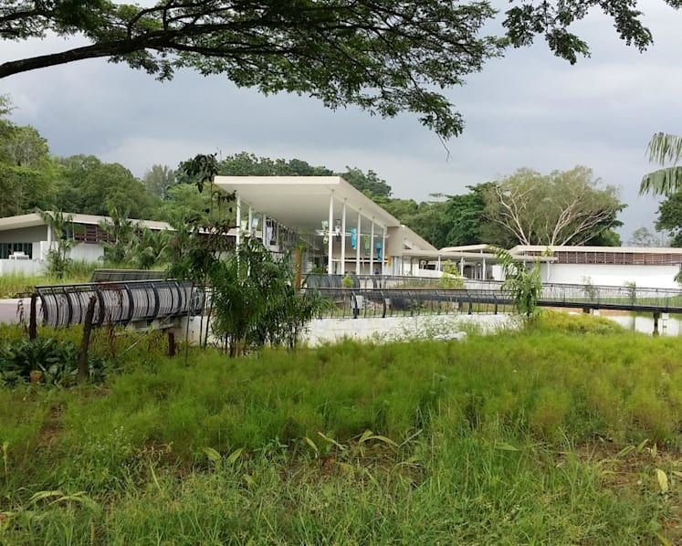 Man and 2-year-old daughter fall into hole in bridge at Sungei Buloh Wetland Reserve; NParks may close some areas if flooding occurs