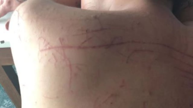 雇佣兵营救无果 马国猪仔逃脱求助反被指偷渡坐牢两年