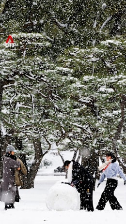 Heavy snowfall hits Japan on election day