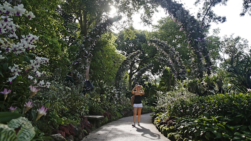 S$35m enhancements to National Orchid Garden by 2019