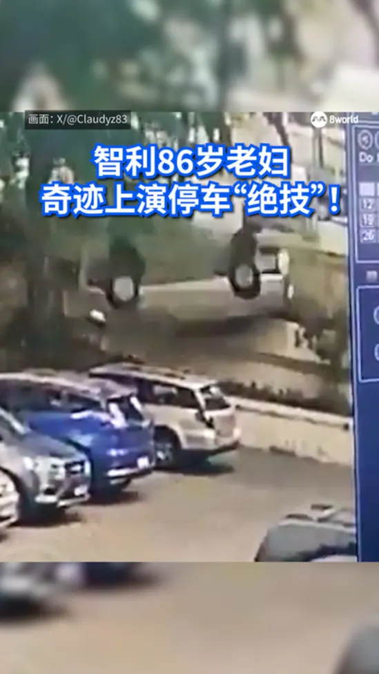 智利86岁老妇 奇迹上演停车“绝技”！