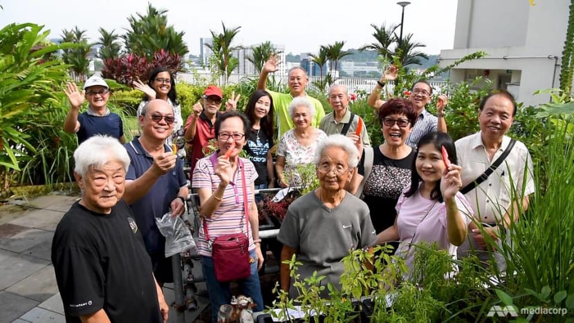 The retiree behind the roof garden that brought back a kampung spirit