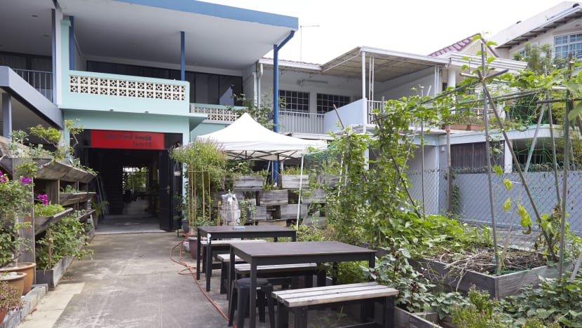 Visit A Modern Kampong, Harvest Some Crops And Learn To Cook — In One Place