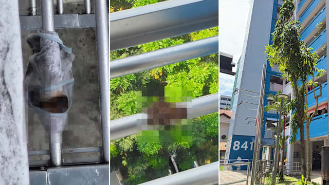 义顺母子被指高楼抛粪和杂物 邻居险被砸衣物常遭殃