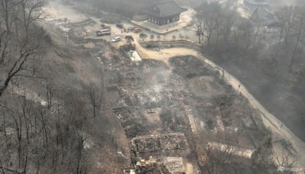South Korea's wildfires kill 24, wreak 'unprecedented damage'