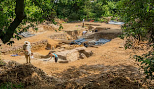 மனிதர்கள் எப்போது தீயை உருவாக்கக் கற்றுக்கொண்டனர்?