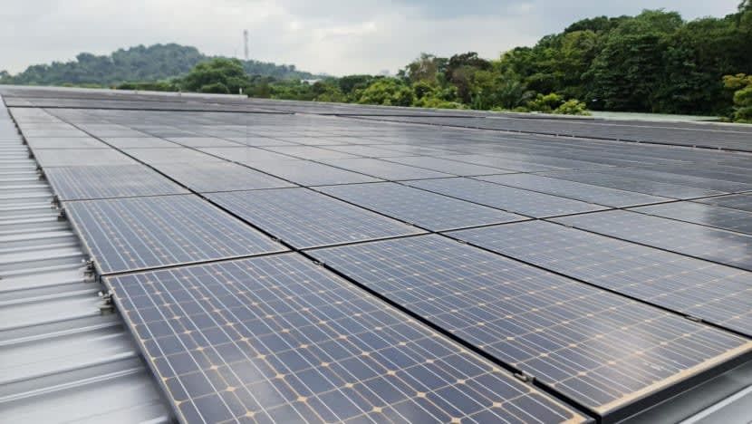 Sentosa, RWS pasang panel suria di 18 lokasi sebagai usaha neutral karbon Sentosa, RWS pasang panel suria di 18 lokasi sebagai usaha neutral karbon