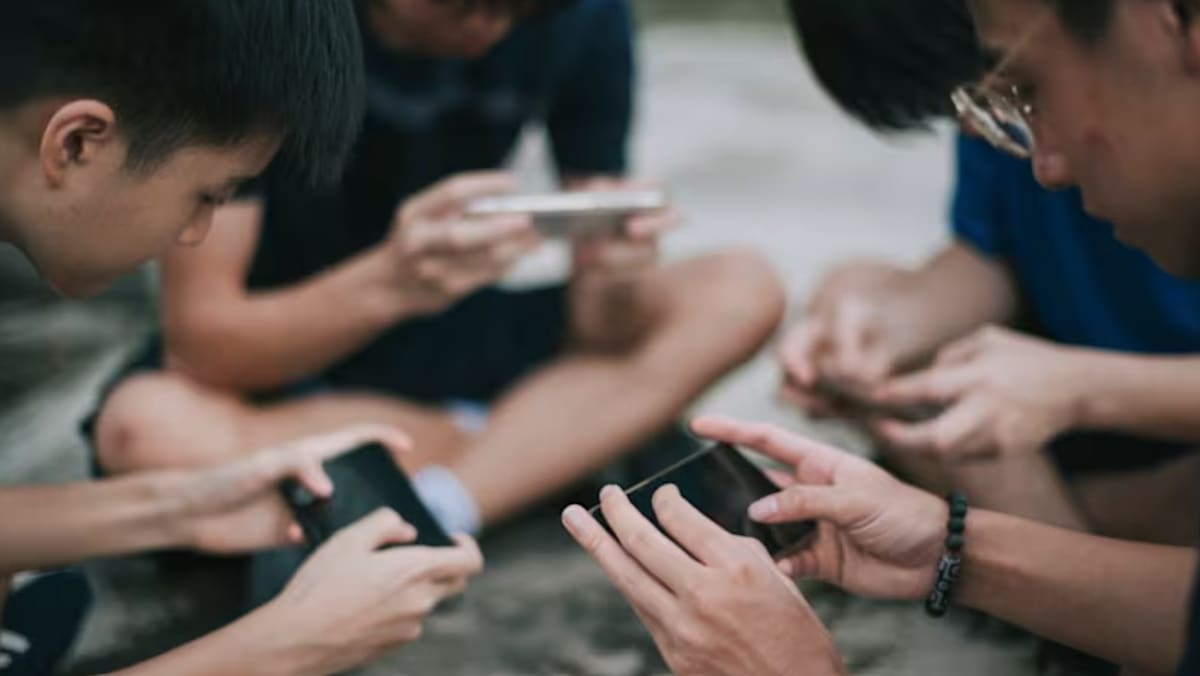 'Media sosial seperti api': Larangan medsos untuk anak dinilai mendesak, tapi seberapa efektif?