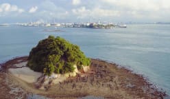 The Islands That Made Us - The Islands That Made Us