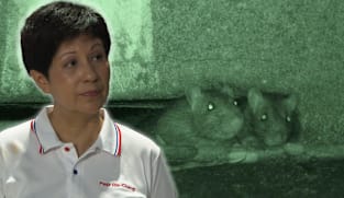 Talking Point 2025/2026 - Singapore VS Rats - How Can We Win? (Pt 2)