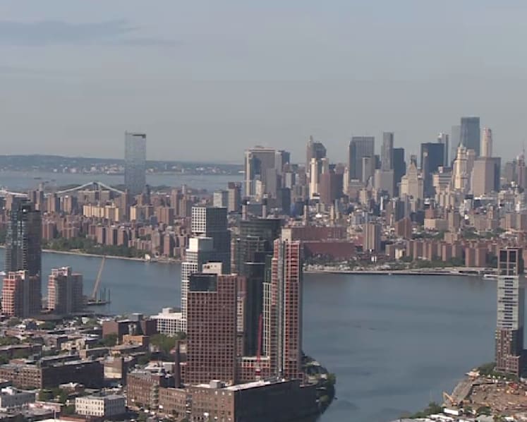 Could a living wall of oysters protect New York City against rising sea levels?