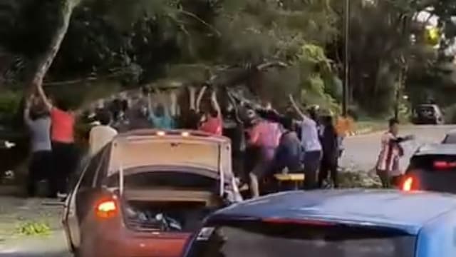 新山狂风肆虐刮倒大树 数十人自发上前齐心移开移开