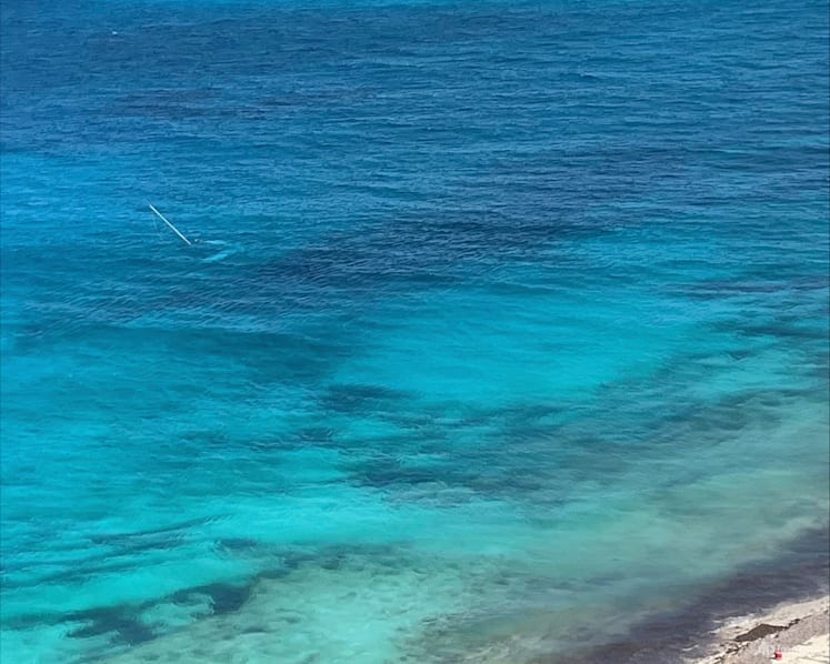 US tourist killed in shark attack in Bahamas say police