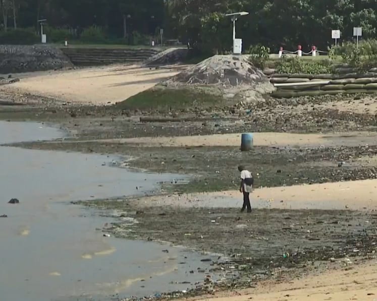 Pasir Ris beach recreational centres take extra precautions over higher bacteria levels in seawater
