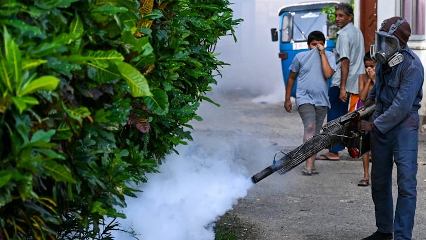 Sri Lanka expands anti-dengue drive as deaths mount