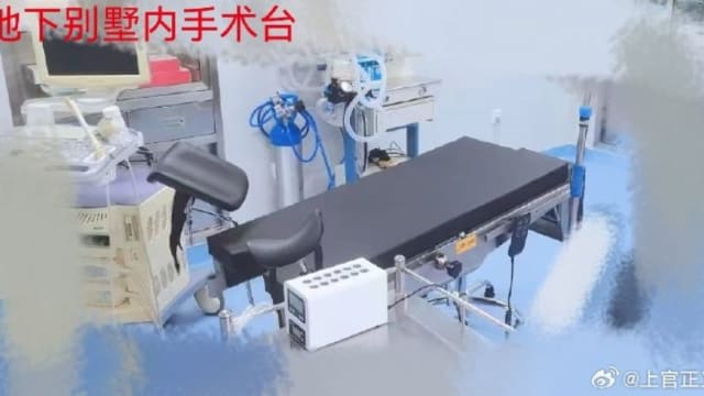 中国代孕机构被揭非法取卵贩卖  最高可卖逾16万新元
