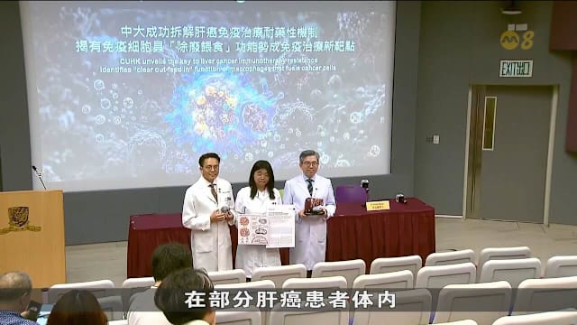 港中大研发肝癌新疗法 预计四至五成患者受惠