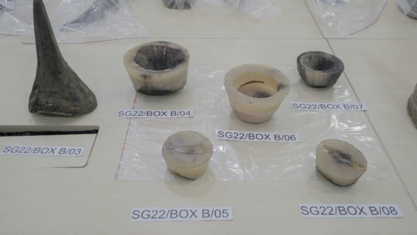 Man charged with taking 34kg of rhino horns into Singapore from South Africa