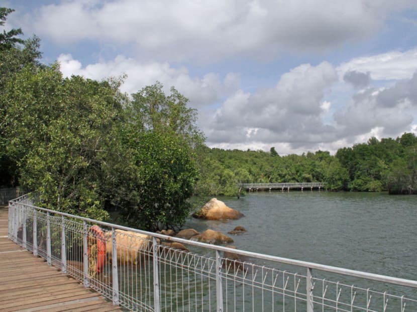 Govt unveils plans to better protect Pulau Ubin