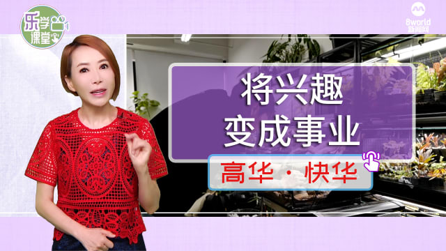 【高华快华】设计师打造水陆缸 把大自然带回家