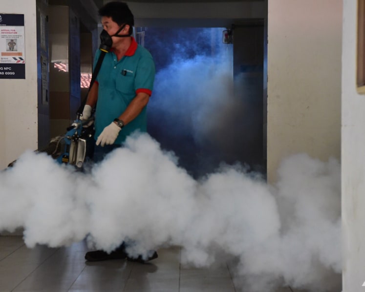 More mosquitoes or mutating virus? Experts have different views on dengue spike