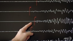 Related article image