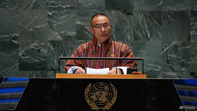 Bhutan PM warns against 'unbridled' AI development, urges stronger guardrails