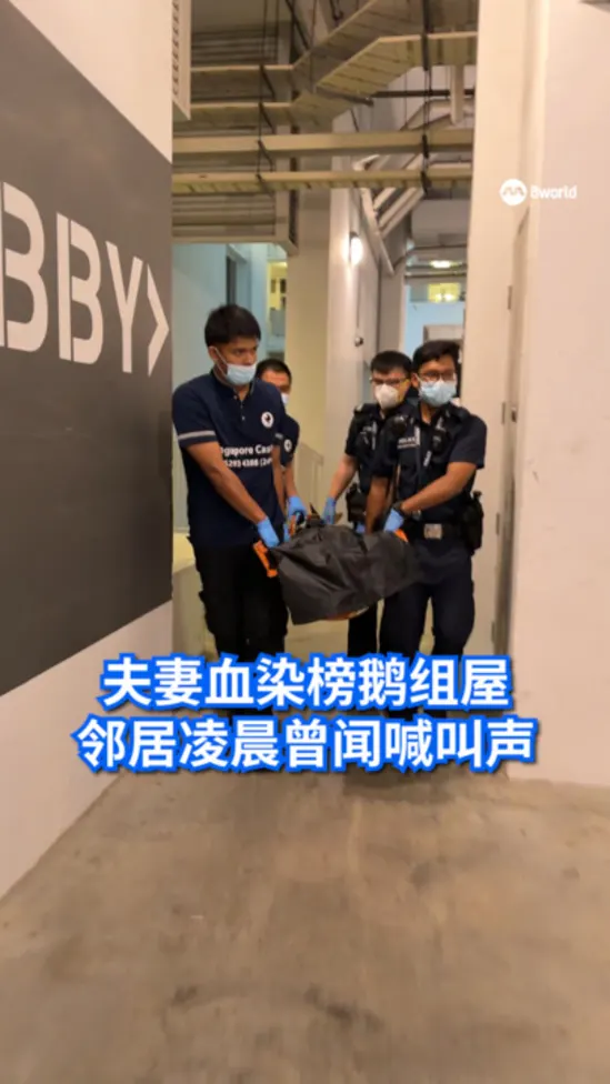 20260227_punggol_case_bodies