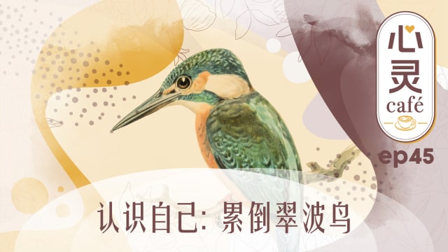 《心灵Cafe》EP45: 认识自己　累倒翠波鸟