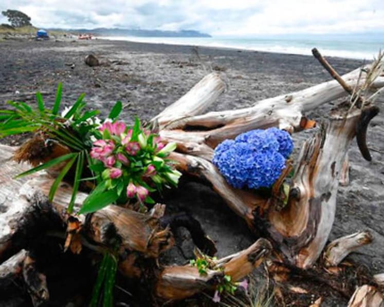 Woman dies in suspected New Zealand shark attack 