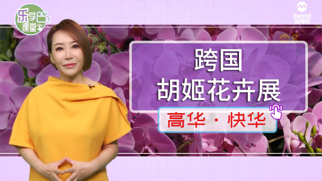 【高华快华】东南亚五国举办跨国胡姬花卉展  彰显文化共同点