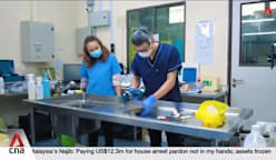 CNA UP CLOSE: Meet the vet pathologist who studies the dead to better care for the living