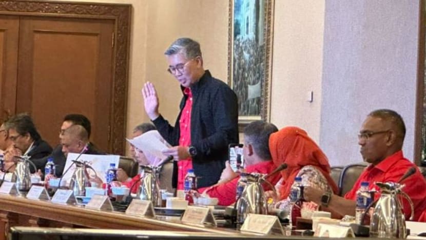 Tengku Zafrul dilantik Ahli Majlis Kerja Tertinggi UMNO