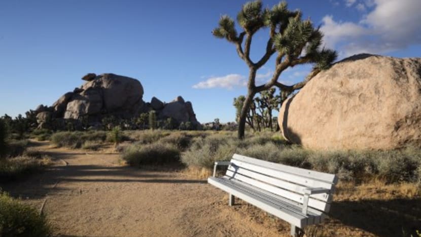 Americans cut back on travel as inflation hits wallets Americans cut back on travel as inflation hits wallets