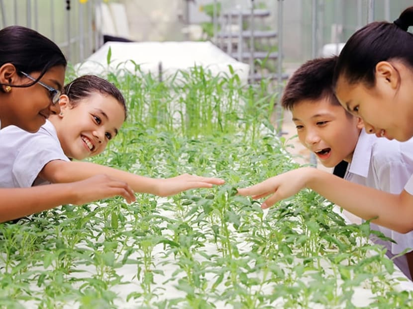 How housing, education and the economy combine to give S’poreans hope for a brighter future