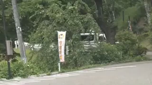日本再通报熊袭击事件 当局仍在追捕涉事黑熊