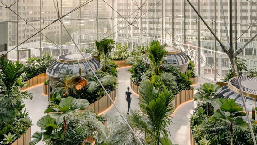 This refurbished space in Orchard Road is basically an office set in a garden This refurbished space in Orchard Road is basically an office set in a garden
