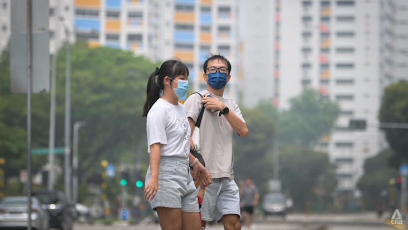 Haze disrupts daily routines, hits businesses in Singapore's west as PSI reaches very unhealthy level
