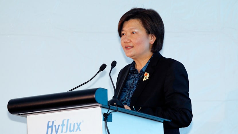 Investor watchdog asks Hyflux board to justify remuneration paid to CEO, executives despite losses