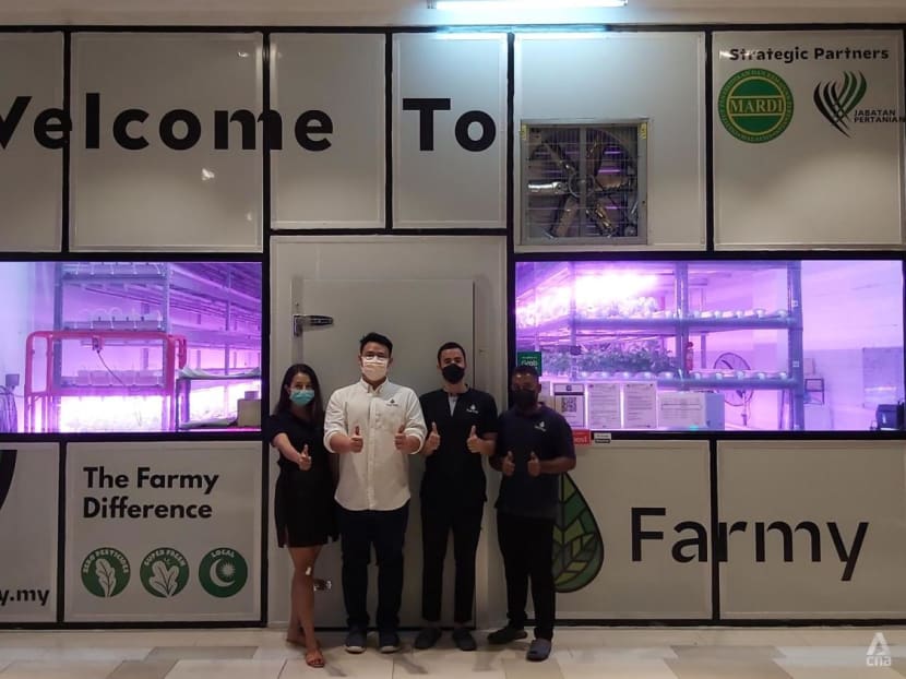 Growing vegetables in a mall, this Malaysian start-up wants to shake up the traditional food supply chain