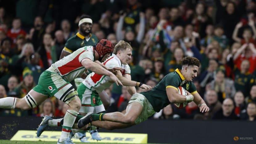 Springboks extend Wales's record losing run with 45-12 victory Springboks extend Wales's record losing run with 45-12 victory