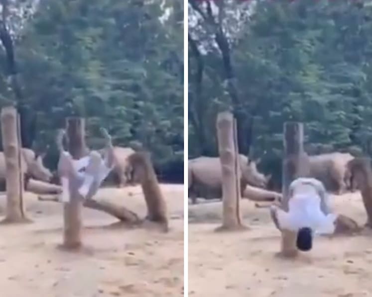 Police report made after visitor jumps into rhino enclosure at Singapore Zoo, does backflip for TikTok video